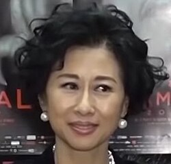 叶蒨文